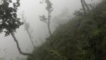 Cakep! Mendaki Rinjani Lewat Jalur Aik Berik