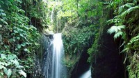 Alam di sekitar Air Terjun Kembar Cacmpuhan masih sangat alami dan hijau (paketbalimurah.wordpress com)