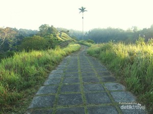Campuhan, Tempat Jogging Asyik di Bali