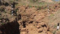 Batu bata yang masih nampak di salah satu bagian candi.