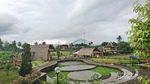 Candi Borobudur Dikelilingi Penginapan Pedesaan yang Unik
