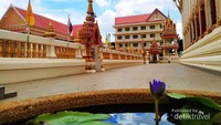 Bunga lotus ungu di Wat That
