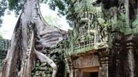Taprom Temple tempat shooting Tomb Rider