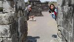 Candi Sambisari Wisata Indah Bawah Tanah di Yogyakarta