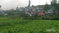 Pemandangan sekitar Candi
