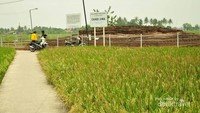Jalan menuju Candi Jiwa