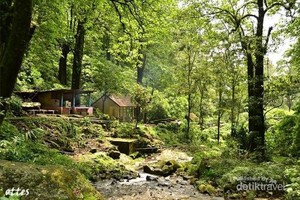 Cantik dan Segarnya Air Terjun Kakek Bodo di Pasuruan