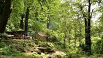 Cantik dan Segarnya Air Terjun Kakek Bodo di Pasuruan