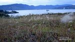 Cantik Danau Toba Dilihat dari Bukit Beta