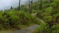 jalan menuju puncak