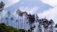 Eksotisnya pemandangan di sana
