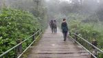 Cantik! Ini Air Terjun Gunung Gede Pangrango
