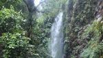Cantik! Ini Air Terjun Gunung Gede Pangrango