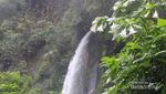 Cantik! Ini Air Terjun Gunung Gede Pangrango