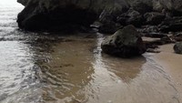 barisan karang di Pantai Ngrumput