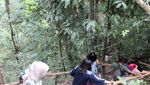 Cantiknya Air Terjun Waimarang di Sumba Timur
