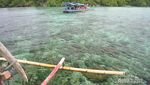 Cantiknya Alam Bawah Laut di Selatan Lampung