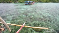 Snorkeling spot di Kelagian Kecil