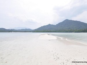 Cantiknya Alam Bawah Laut di Selatan Lampung