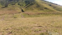 Padang rumput yang keren untuk berfoto
