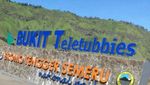 Cantiknya Bukit Teletubbies Bromo Bikin Rindu