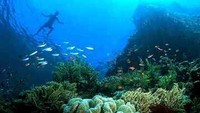 Bunaken yang keren! (Lidra Reza/dTraveler)