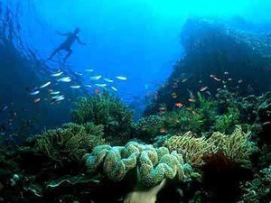 Cantiknya Bunaken yang Terkenal Hingga Mancanegara