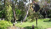 Taman Bali Bird Park (www.bali-bird-park.com)