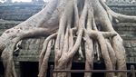 Cantiknya Candi di Kamboja Tempat Syuting Tomb Raider