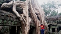 Akar yang tumbuh besar menguasai reruntuhan candi Ta Prohn