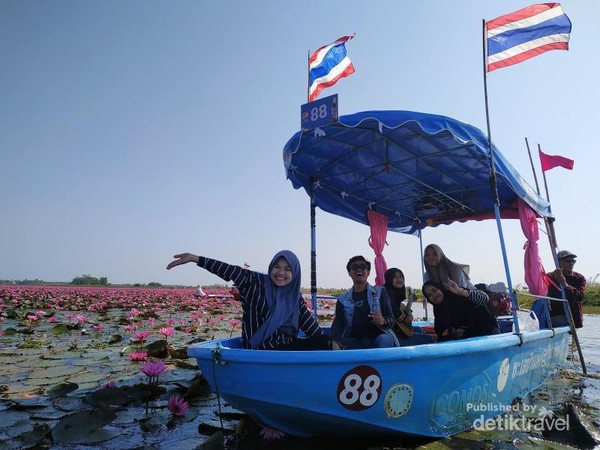 Cantiknya Danau Teratai Pink di Udon Thani, Thailand