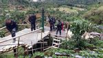 Cantiknya Dieng dari Batu Ratapan Angin