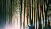 Stalakgit dan stalagmit tampak kokoh