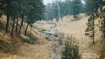 Cantiknya Gunung Lawu yang Terkenal Angker