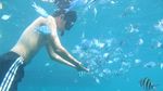 Cantiknya Karimunjawa, dari Pantai Sampai Bawah Laut