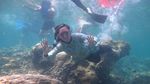 Cantiknya Karimunjawa, dari Pantai Sampai Bawah Laut