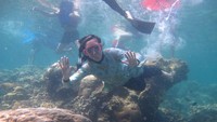 diving