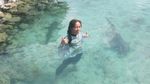 Cantiknya Karimunjawa, dari Pantai Sampai Bawah Laut