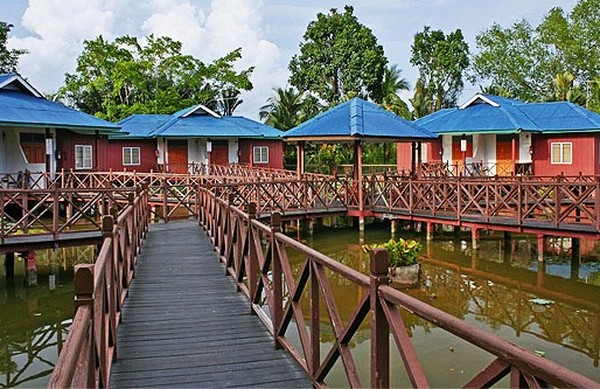 Cantiknya Kunang  kunang  di Firefly Park Malaysia