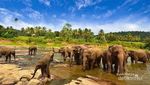 Cantiknya Lampung yang Bikin Kangen Liburan