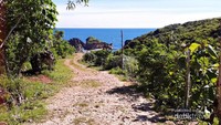 Jalan menuju pantai