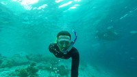 Snorkeling di Pulau Arborek bersama ikan-ikan yang cantik.