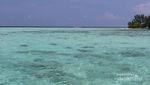 Cantiknya Pulau di Karimunjawa Ini Bikin Ogah Pulang