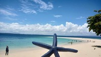 Bintang Laut Biru yang sering dijumpai disini