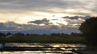 Suasana senja