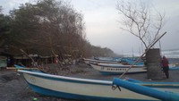Jajaran Cemara dan Perahu di Pantai Kuaru