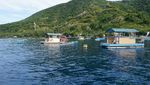 Cantiknya Taman Laut Olele di Gorontalo
