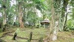 Cantiknya Taman Lumut dan Paku di Kebun Raya Cibodas