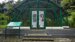 Cantiknya Taman Lumut dan Paku di Kebun Raya Cibodas
