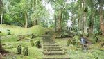 Cantiknya Taman Lumut dan Paku di Kebun Raya Cibodas